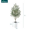 DR.Planzen 72" Artificial Olive Tree - 6FT UV Resistant Fake Plant with 15.7" Tall Planter Planter for Indoor House Plants & Tall Floor Decor - 3 of 4