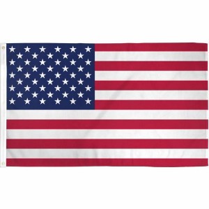 Briarwood Lane Grommet Flag x USA 3' X 5' Grommet - 1 of 2