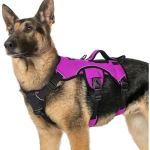 rabbitgoo Escape Proof Dog Harness, Soft Padded Full Body Pet Harness, Reflective Adjustable No Pull Vest with Lift Handle Hiking Training, XL, Purple - 1 of 1