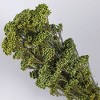 Alilang Decorative Dried Berry Stems for Home Decoration and Floral Arrangements, 17 Inches - 2 of 3