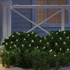 4'x6' Concave LED Christmas Net String Lights with Green Wire - Wondershop™ - 2 of 4