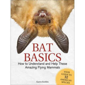 Bat Basics - by  Karen Krebbs (Hardcover) - 1 of 1