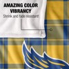 California State University, Bakersfield Campus Plaid Spirit Silky Touch Super Soft Throw Blanket 50x60 - 4 of 4