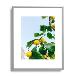 Bethany Young Photography Amalfi Coast Lemons 8"x10" Silver Metal Framed Art Print - Deny Designs - 1 of 4