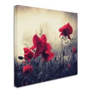 Trademark Fine Art -Philippe Sainte-Laudy 'Red For Love' Multi Panel Art Set - 1 of 3