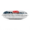Stupell Industries Red Vintage Car Adventure Indoor Decorative Throw Pillow, 14 x 20 - 2 of 3