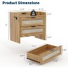 Rattan Nightstand, Bedside Table with 2 Storage Drawer Space, Boho End Table Side Table for Bedroom Living Room Office, Large Night Stand - 2 of 4
