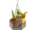 D'Eco Glass Geometric DIY Terrarium, Succulent & Air Plant- Hanging Mini Hexagon Shaped for Indoor Gardening Decor- Create Your own Centerpiece - 2 of 3