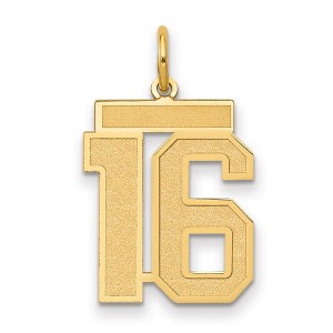 Black Bow Jewelry 14k Yellow Gold, Jersey Collection, Medium Number 16 Pendant - 1 of 3