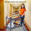 2 Tier Plastic Utility Cart with Wheels, 500lb Heavy Duty Rolling Deep Shelf Food Service Work Cart, Commercial Maintenance, Garages, Shops - 2 of 4