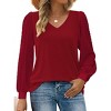 Zeagoo Women's Blouses Dressy Casual V Neck Top Swiss Dot Balloon Long Sleeve Shirts - 2 of 4