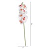 Nearly Natural 35-in Artificial Orchid Flower Stems, Set of 3, White - 2 of 2