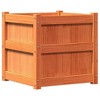 vidaXL Garden Planter Wax Brown 19.7"x19.7"x19.7" Solid Wood Pine - 2 of 4