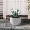 Rosemead Home & Garden Concrete Outdoor Planter Pot Chalk White 19.7"x19.7"x13" - 3 of 4