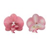 Unique Bargains Women's Phalaenopsis Faux Pearl Duckbill Clip 2 Pcs - 3 of 4