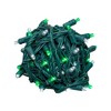 Novelty Lights 50 Light LED Christmas Mini Light Set (Green Wire, 25 Feet) - 2 of 4