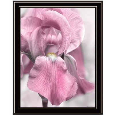 HomeRoots Pink Iris Black Framed Print Wall Art