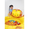 Up, In & Over 44 x 39 x 24 Inch Lion Ball Pit - 4 of 4