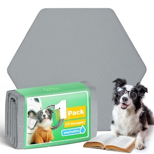FXW Washable Pee Pads for Dogs, Puppy Pads with Super Absorbent, 1 Pack - 1 of 4