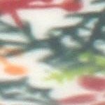 winter cardinal