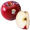 Buy Cosmic Crisp® Apple Trees Online