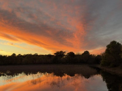 Guest review image 5 of 5, zoom in