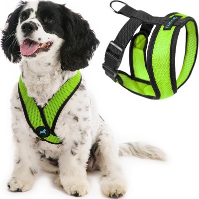 Gooby Comfort X Head In Harness Green, Medium