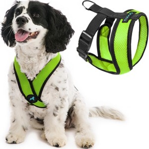 Gooby Comfort X Head In Harness Green, Medium - 1 of 1