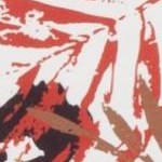 ivory/rust