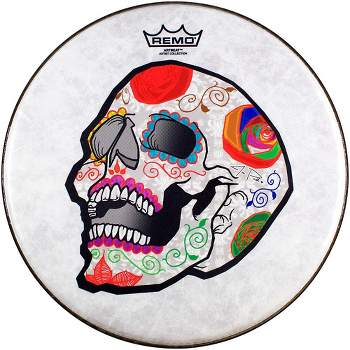 Remo Jose Pasillas ArtBEAT Artist Collection Drum Head 14 in.