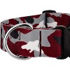 Country Brook Petz HossFit Jr Wide Deluxe Dog Collar - Sports and Athletics Collection - 4 of 4