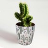 Tierra Garden 7" Round Self-Watering Bamboo Pot - 4 of 4