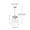 Capital Lighting Finn 1 - Light Pendant in  White Wash/Matte Brass - 2 of 4