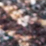 navy, peach, dark red