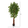 HomeStock  6.5 ft. Artificial Ficus Tree in Pot for Indoor/Outdoor - 2 of 4