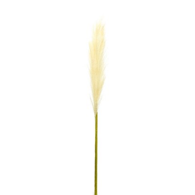 Melrose Pampas Gass Stem (Set of 4)