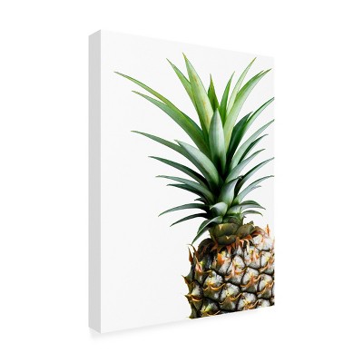 Lexie Greer Pineapple Portrait Outdoor Canvas Print 14x19