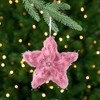 Northlight Plush Feather Star Glittered Christmas Ornament with Hearts -12" - Pink - 2 of 4