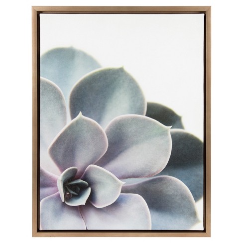 Succulents Framed Canvas Art Gold 24 X18 Uniek Target