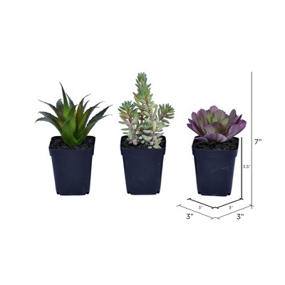 Set of Three Minimalist Green and Purple Plastic Potted Succulents