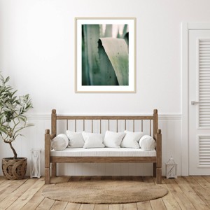 Amanti Art Succulent I by Justine Milton Wood Framed Wall Art Print - 1 of 4