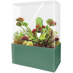 Unique Gardener Fascinating Flytraps - 1 of 1