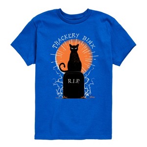 Boys' - Hocus Pocus - Binx Graveyard -Toddler and Youth Short Sleeve Graphic T-Shirt Short Sleeve Graphic T-Shirt - 1 of 4