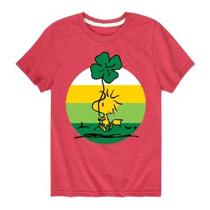 Boys' - Peanuts - Woodstock Shamrock Short Sleeve Graphic T-Shirt - 1 of 4
