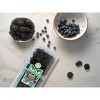 Berry Scary Dual Blueberries and Blackberries - 12oz - 2 of 3