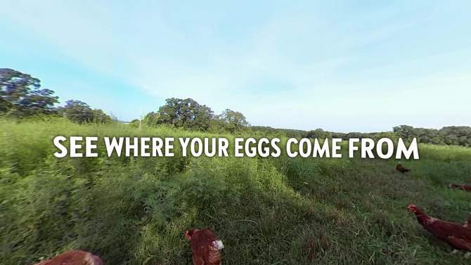 Vital Farms Organic Pasture-Raised Grade A Large Eggs - 12ct, 2 of 6, play video