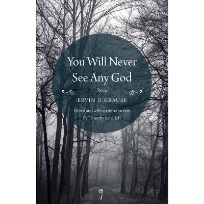 You Will Never See Any God - by  Ervin D Krause (Paperback)