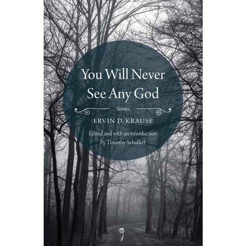 You Will Never See Any God - by  Ervin D Krause (Paperback) - image 1 of 1