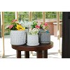 SpassWay 8" Dia Outdoor Indoor Ceramic Planter Pot Decorative Planter with Drainage Hole Patio Flower Pot - 4 of 4