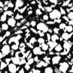 black white abstract